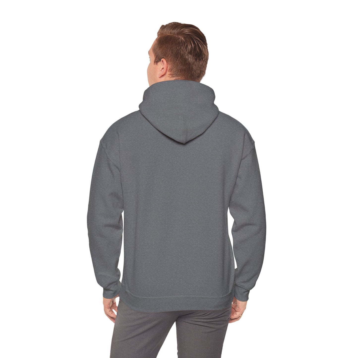 The System Unisex Heavy Blend™ Hooded Sweatshirt