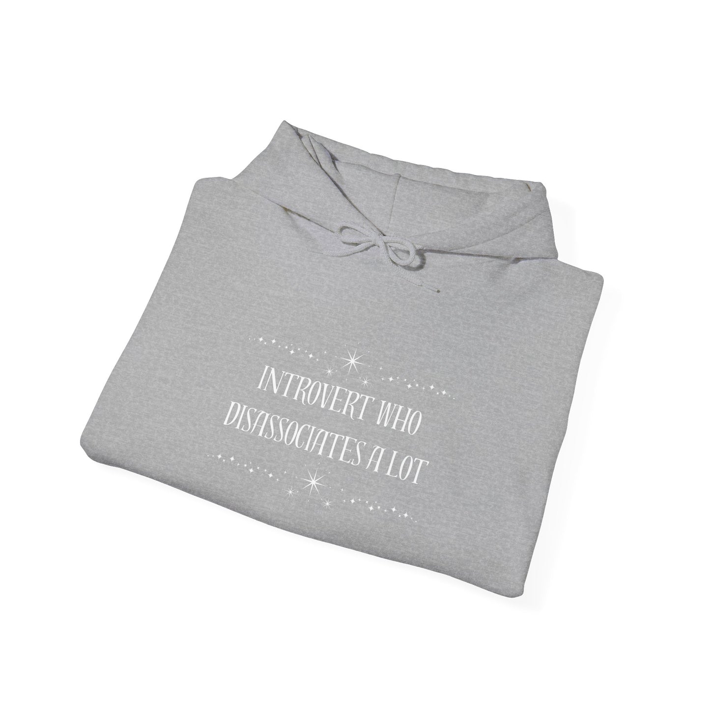 Introvert Unisex Heavy Blend™ Hooded Sweatshirt